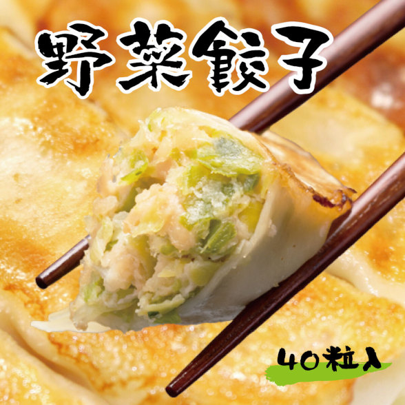 野菜餃子