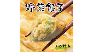 野菜餃子