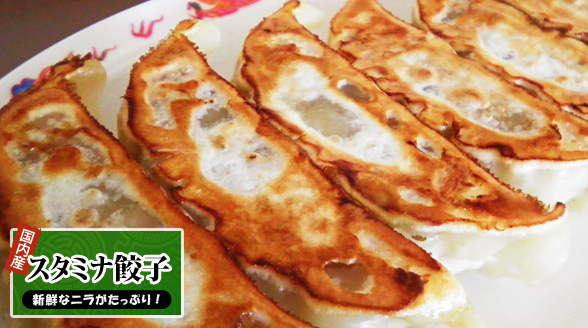 スタミナ餃子