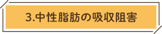 3.中性脂肪の吸収阻害