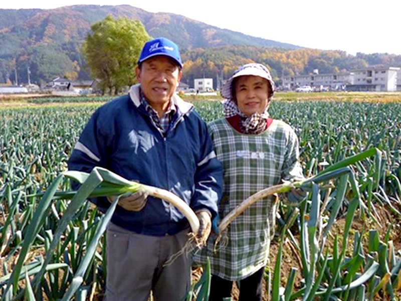 松本一本ねぎを栽培する農家さん