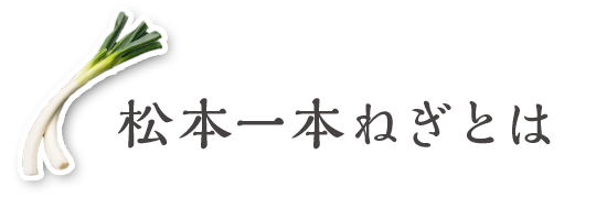 松本一本ねぎとは
