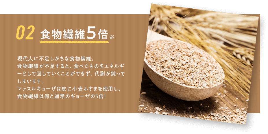 食物繊維5倍　現代人に不足しがちな食物繊維。食物繊維が不足すると、食べたものをエネルギーとして回していくことができず、代謝が鈍ってしまいます。マッスルギョーザは皮に小麦ふすまを使用し、食物繊維は何と通常のギョーザの５倍！